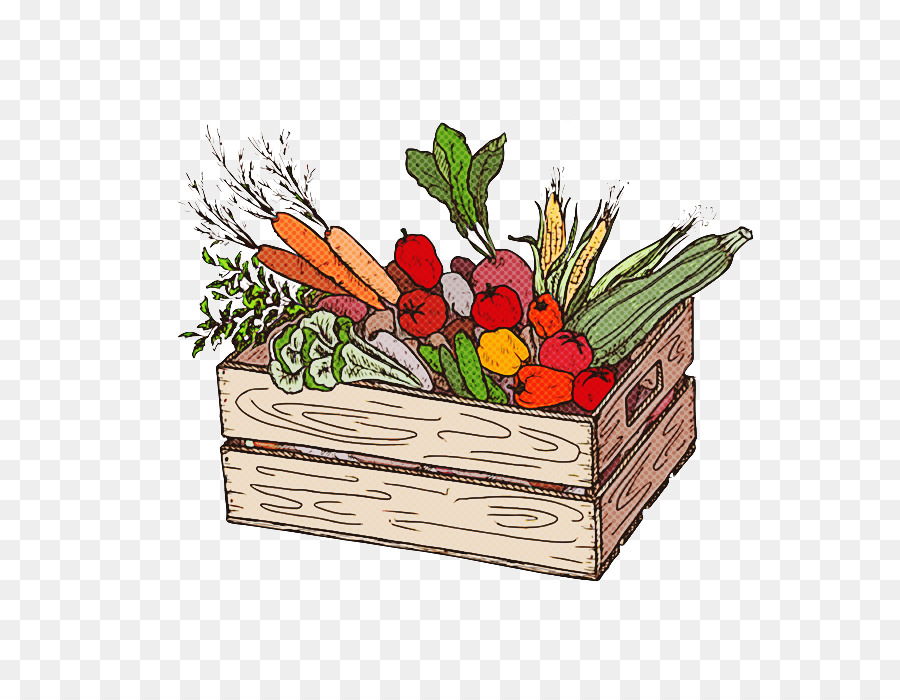 Vegetal，Planta PNG