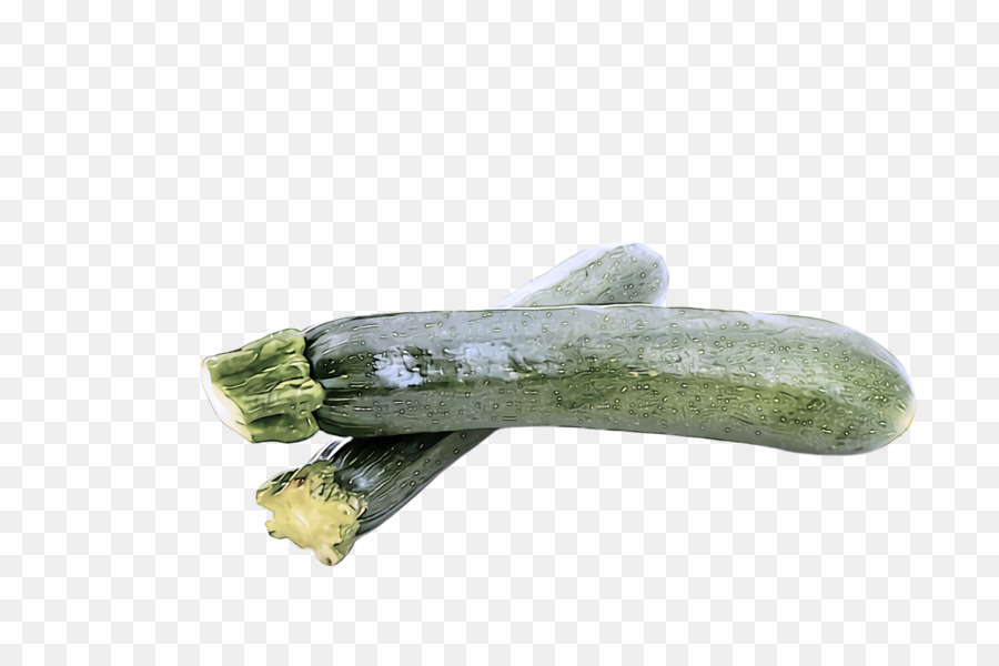 Vegetal，Planta PNG