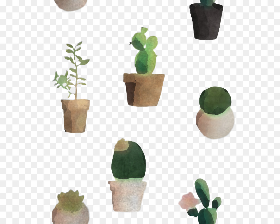 Maceta，Cactus PNG