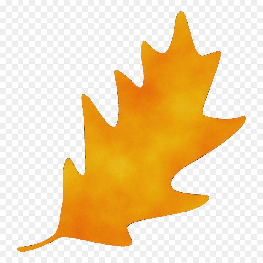 Hoja，Árbol PNG