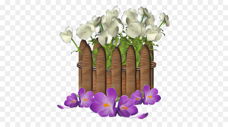 Flor，Violeta PNG