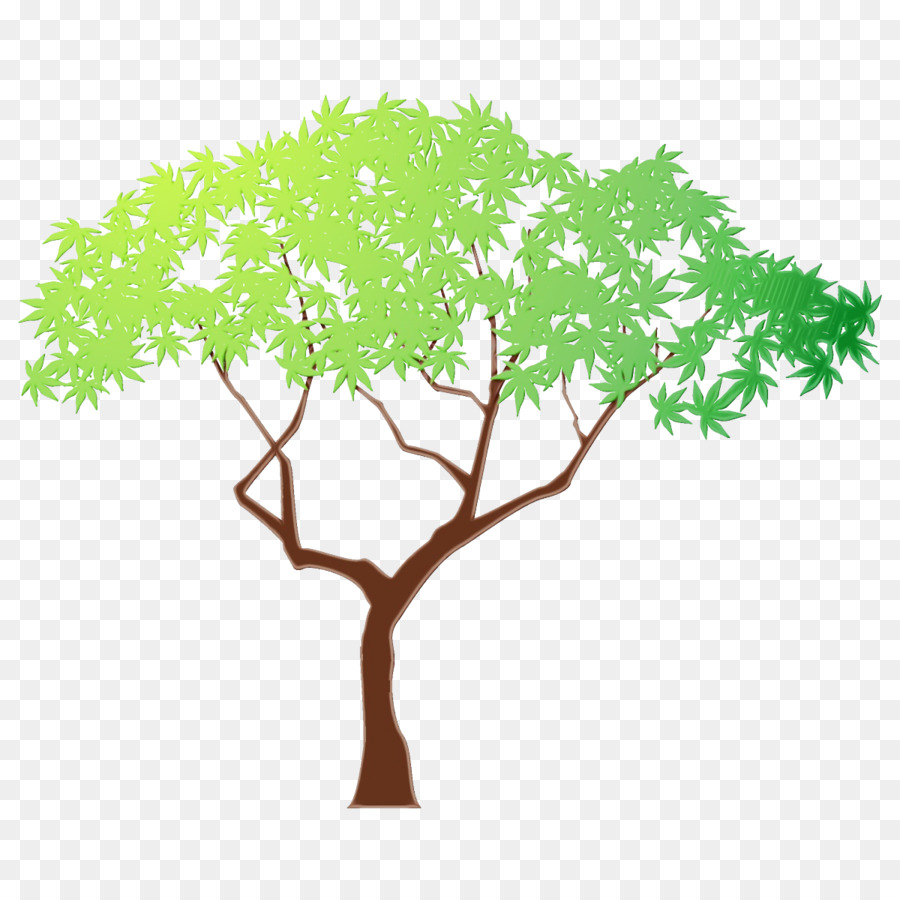 Árbol，Verde PNG