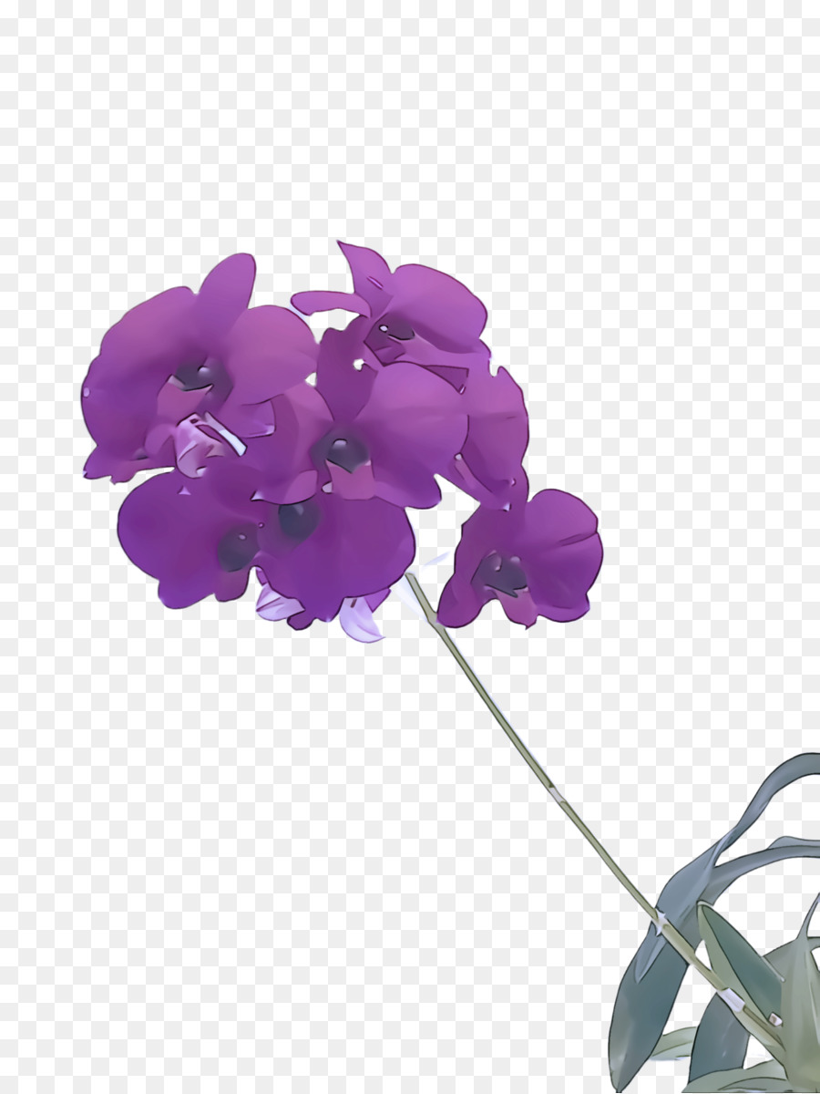 Violeta，Flor PNG