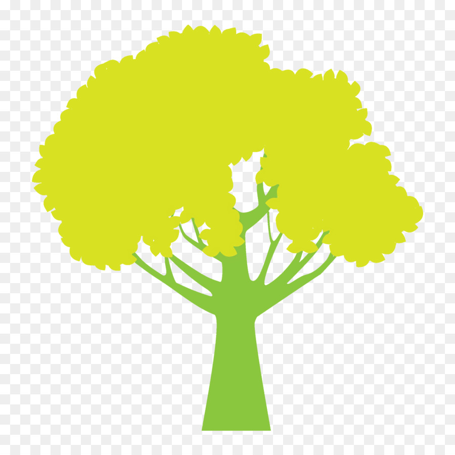 Verde，Árbol PNG