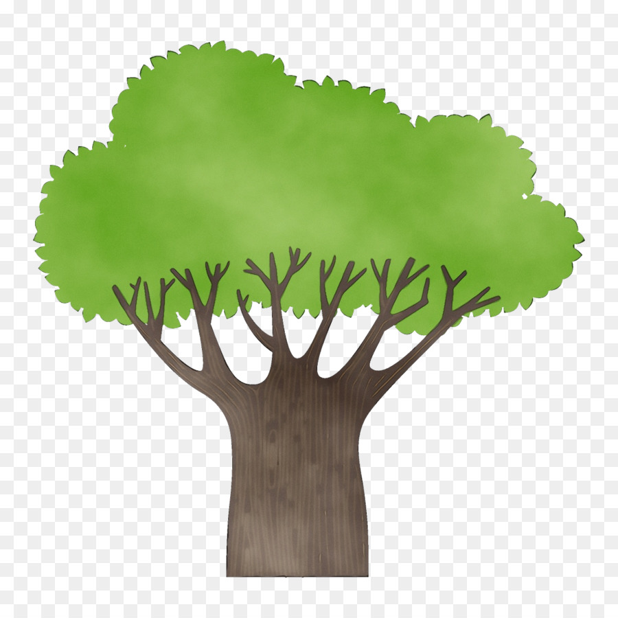 árbol Verde，Naturaleza PNG