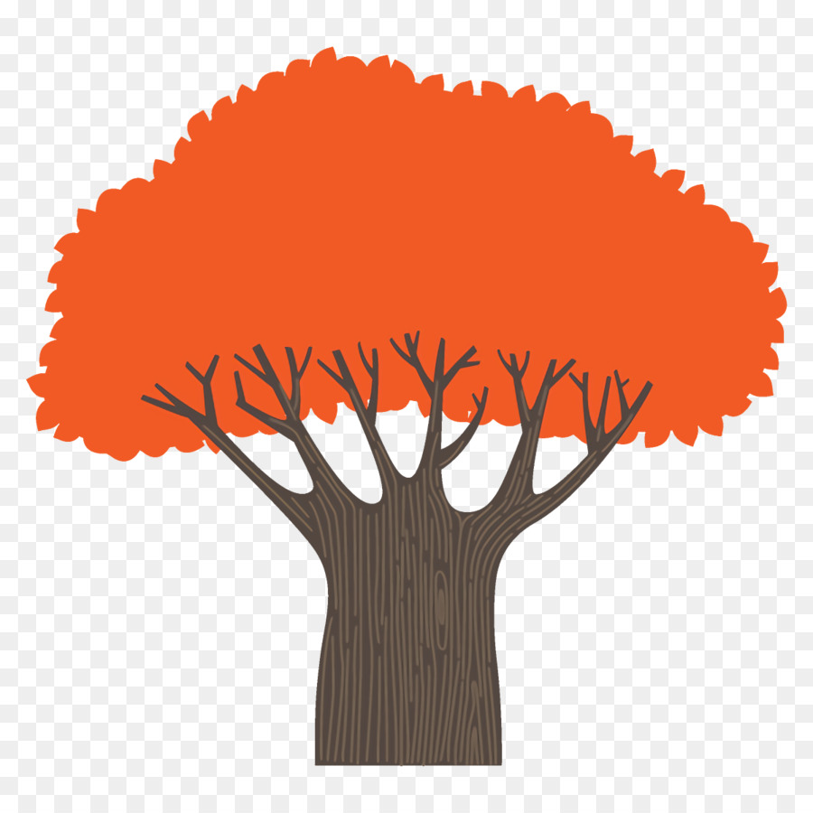 Naranja，Árbol PNG