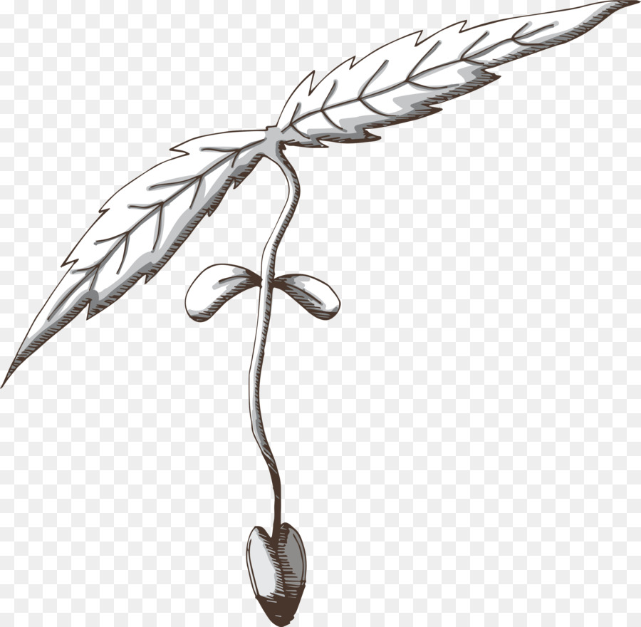 Hoja，Pluma PNG