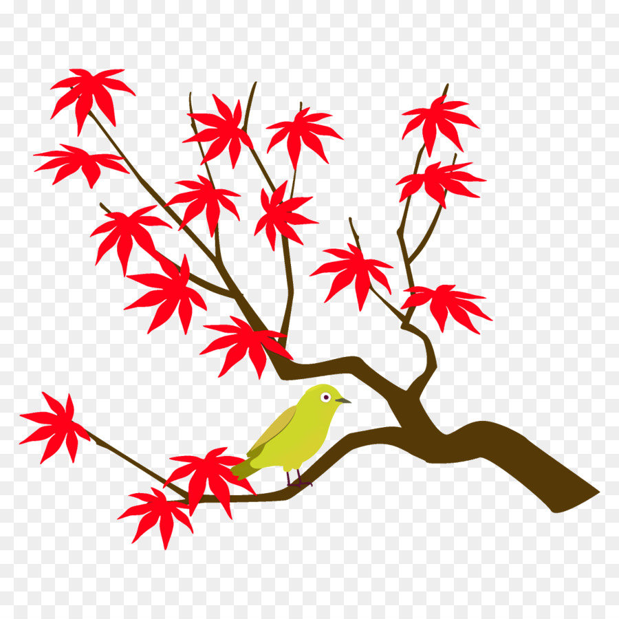 Hoja，Árbol PNG