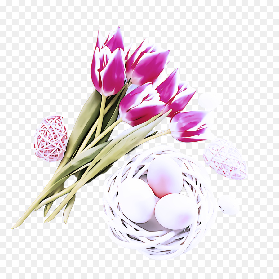 Flor，Tulip PNG