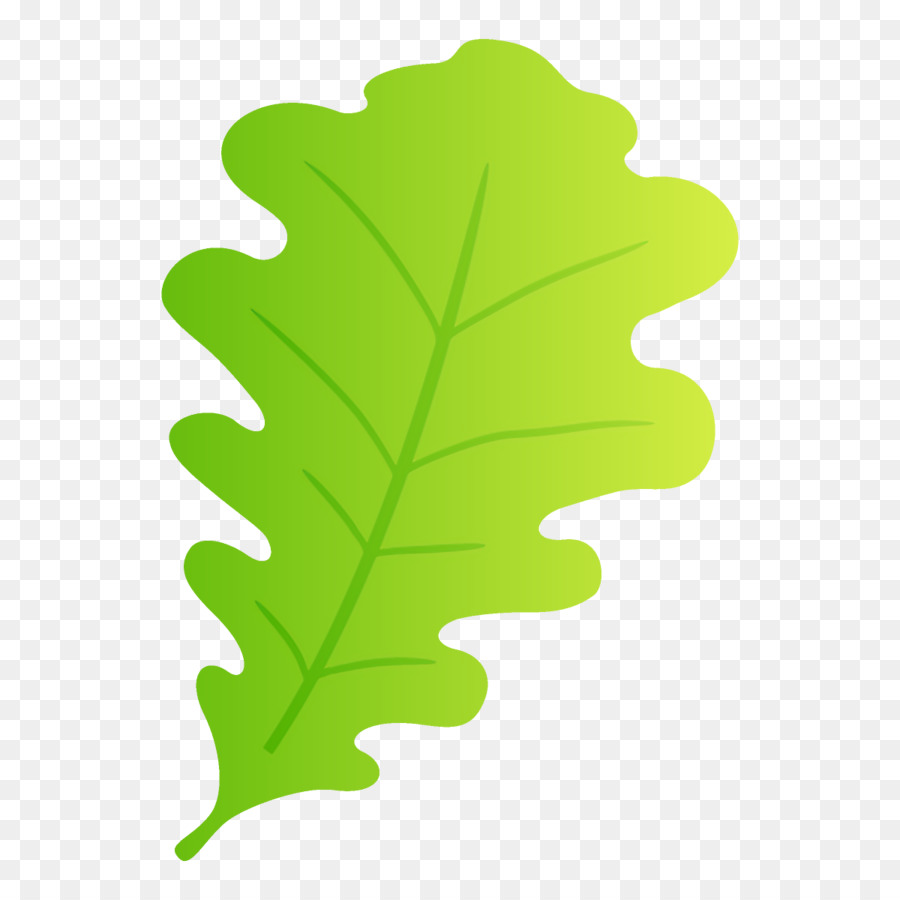 Hoja Verde，Planta PNG