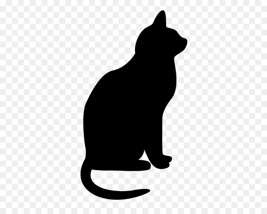 Negro，Gato PNG