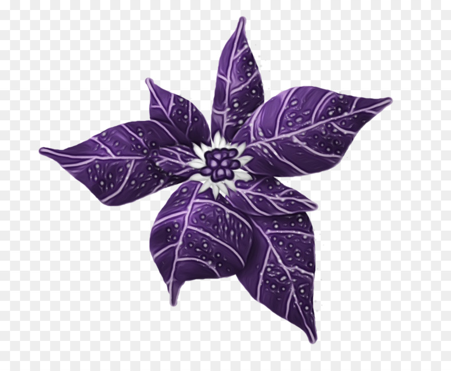 Morado，Violeta PNG