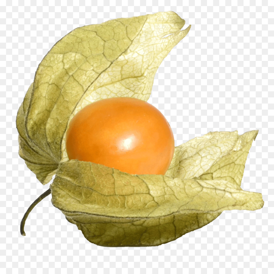 La Fruta，Peruano Groundcherry PNG