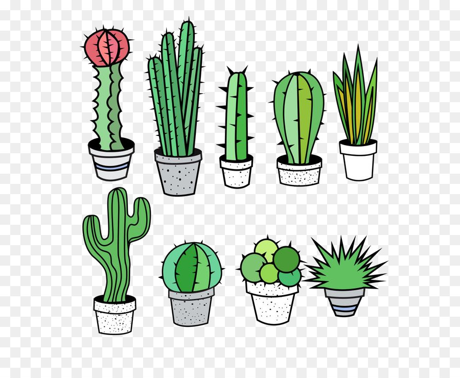 Cactus，En Conserva PNG