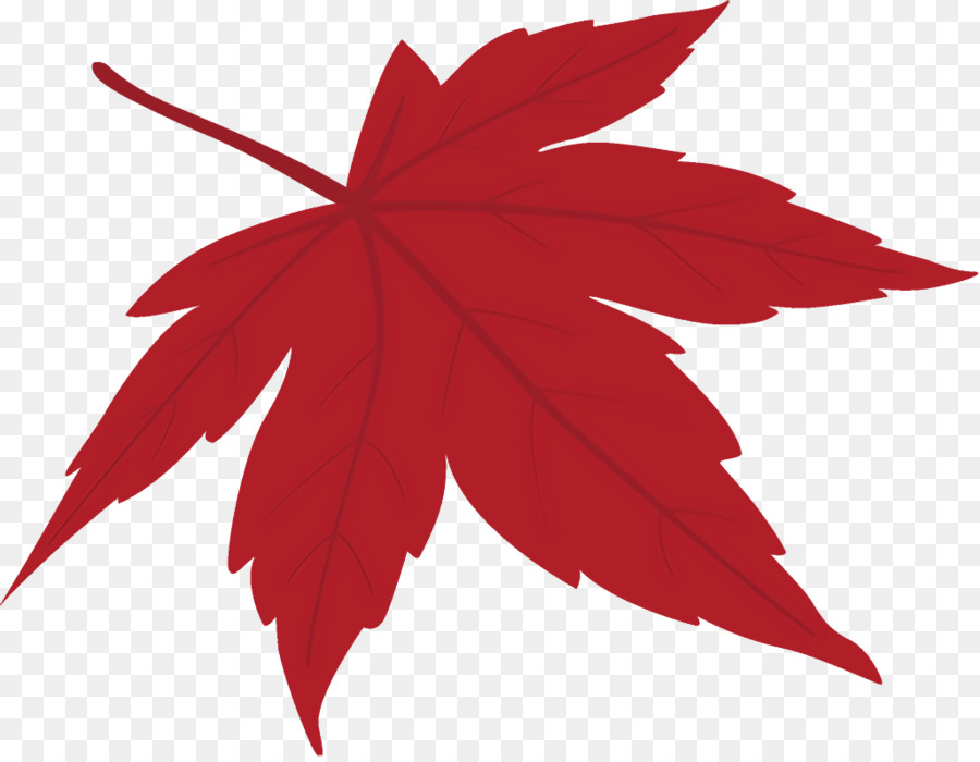 Hoja，Rojo PNG