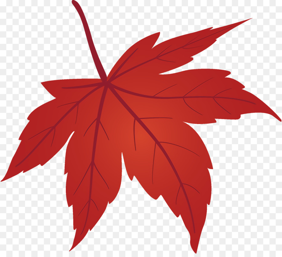 Hoja，Rojo PNG