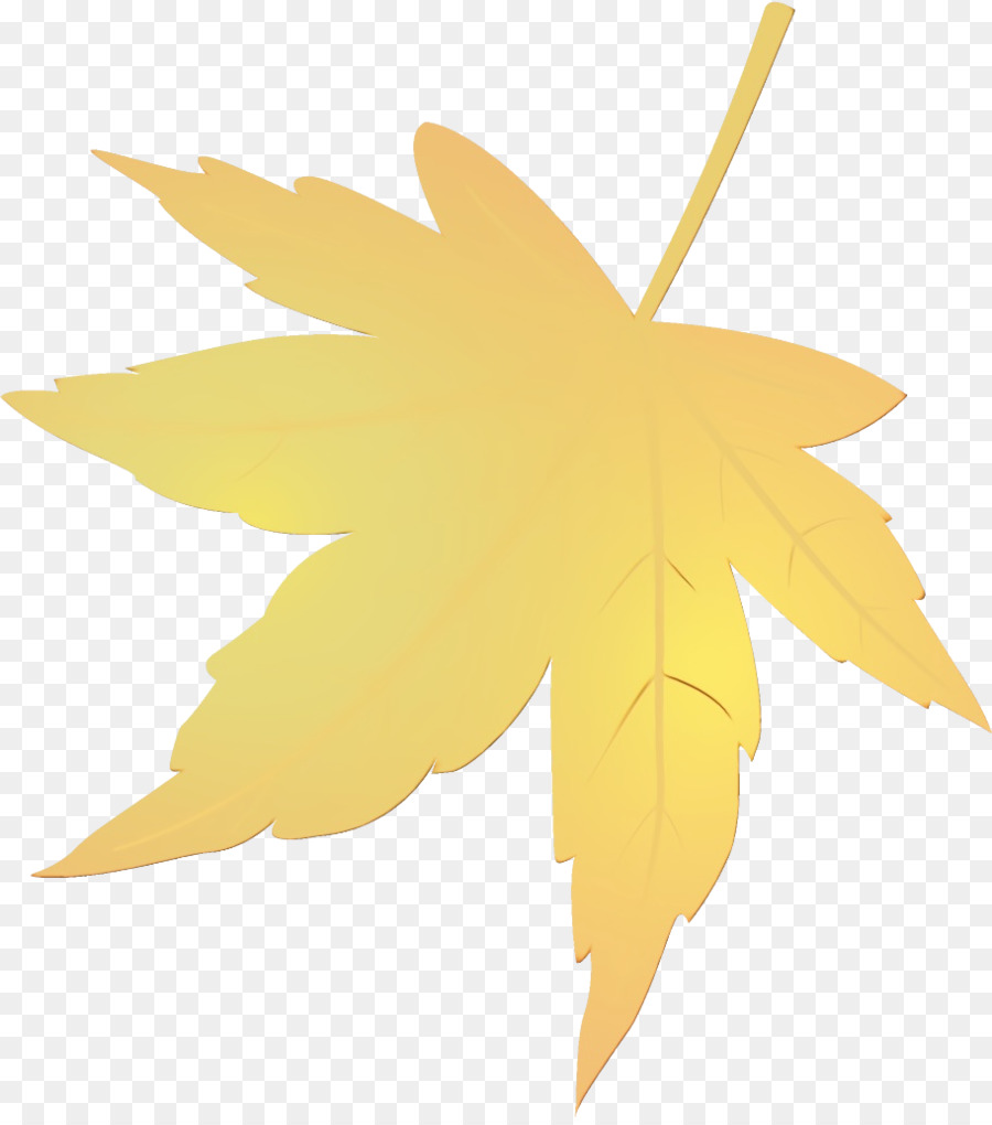 Hoja，Árbol PNG