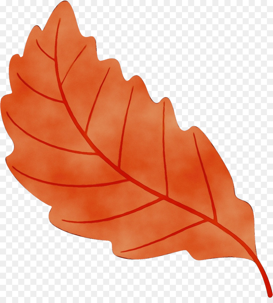 Hoja De Otoño，Caer PNG