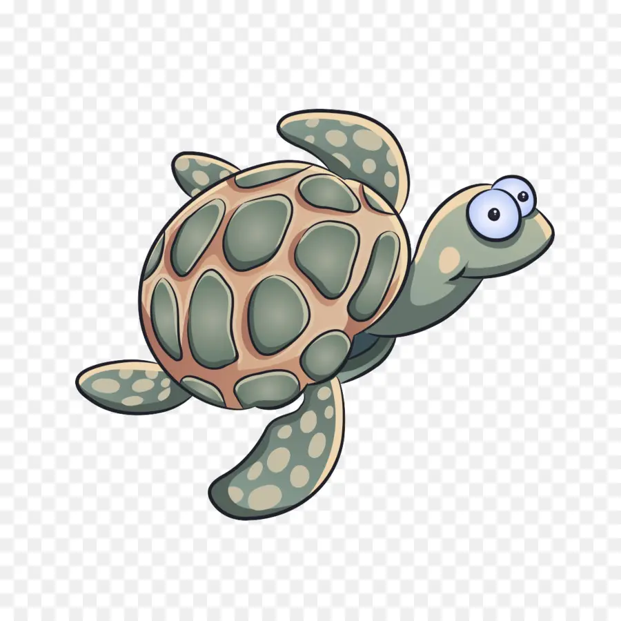 Tortuga De Mar，Tortuga PNG