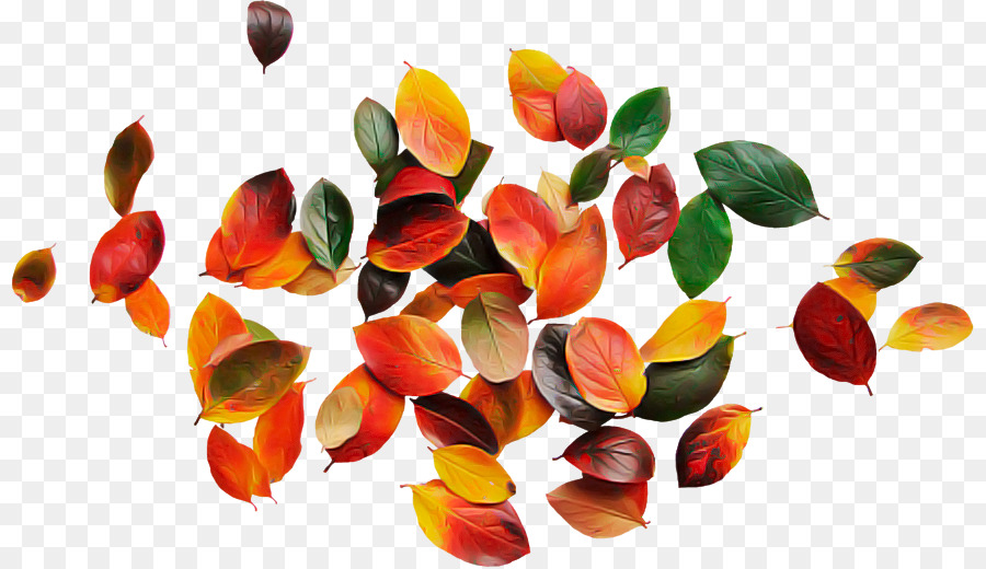 Hojas Coloridas，Otoño PNG