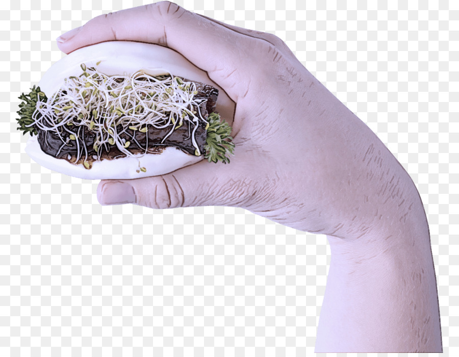 Planta，De La Mano PNG