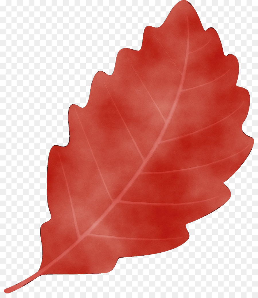 Hoja Roja，Otoño PNG