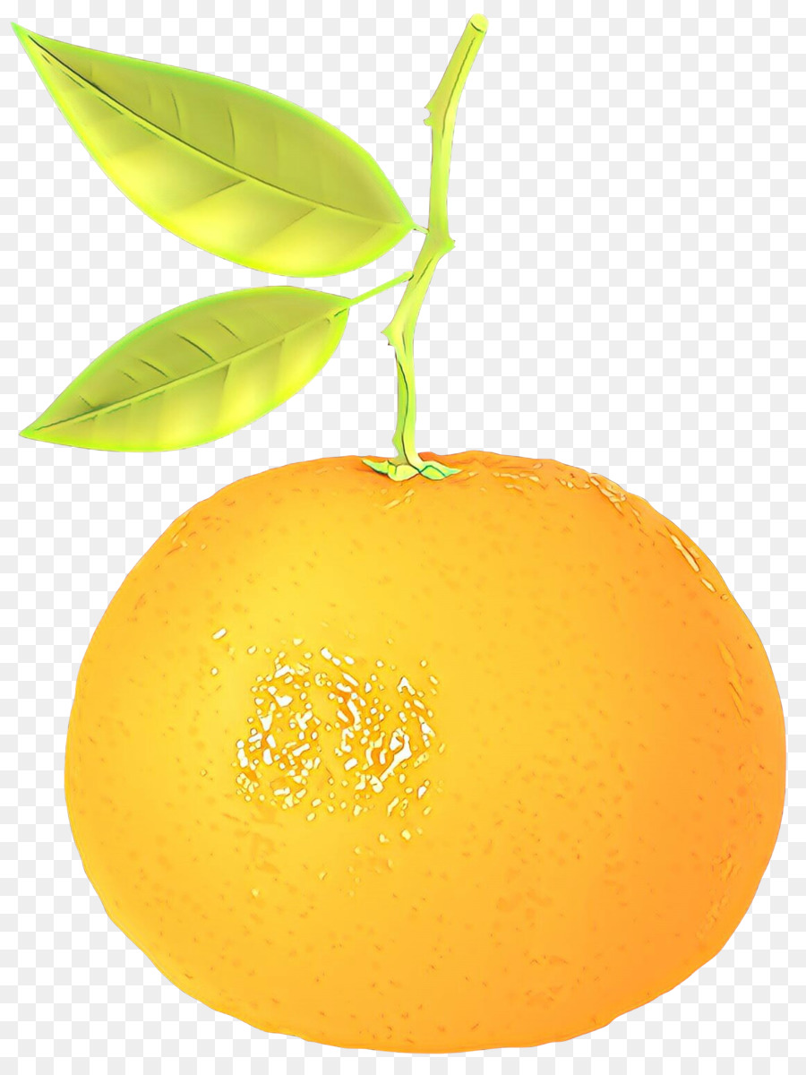 Naranja，Cítricos PNG