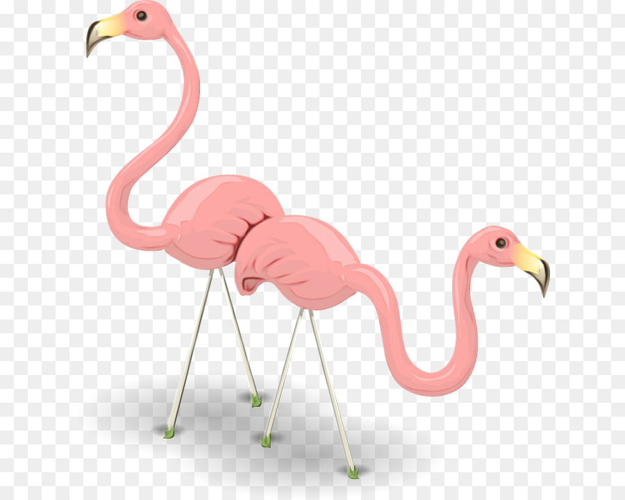 Flamingo，Aves PNG