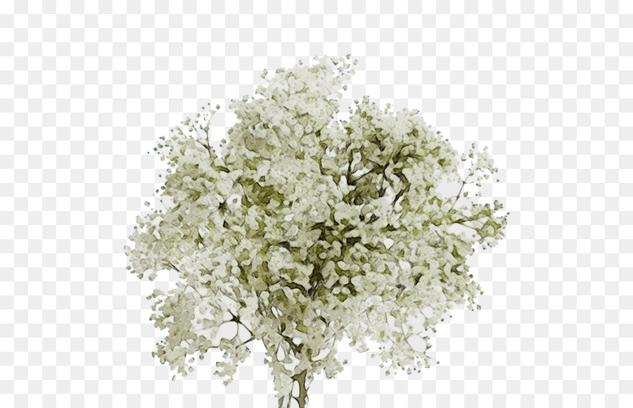 Árbol，Flor PNG