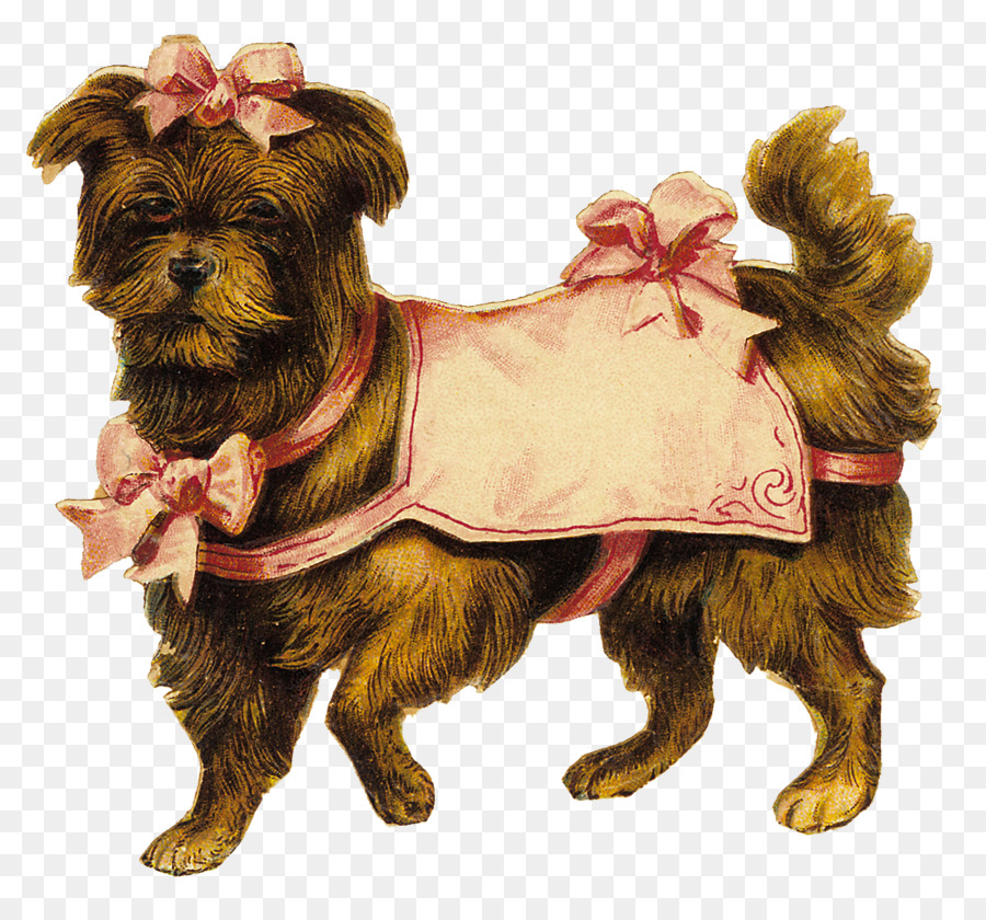 Perro，Ropa De Perro PNG