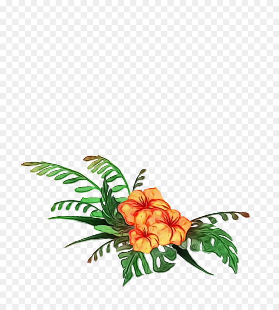 Flor，Planta PNG