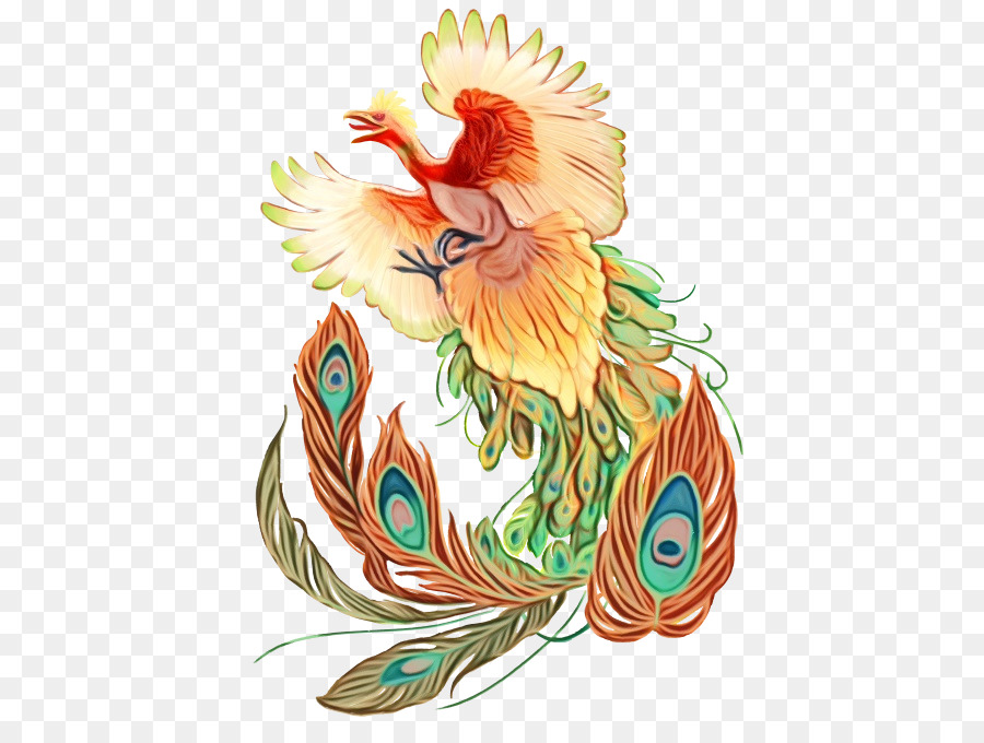 Pollo，Pluma PNG