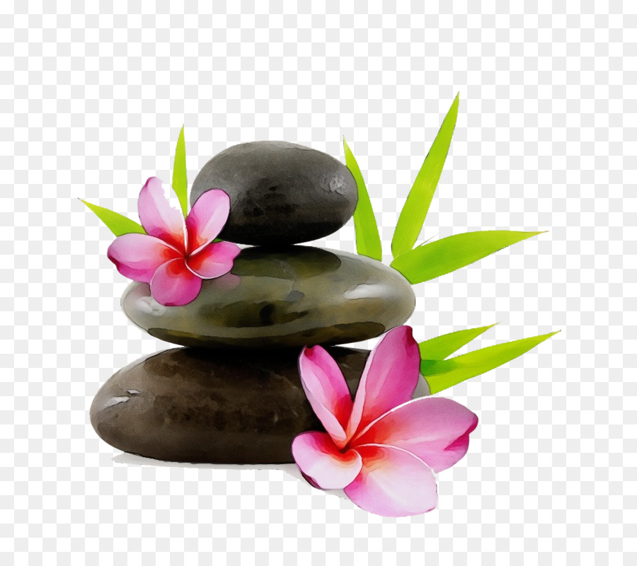 Piedras Zen，Bambú PNG