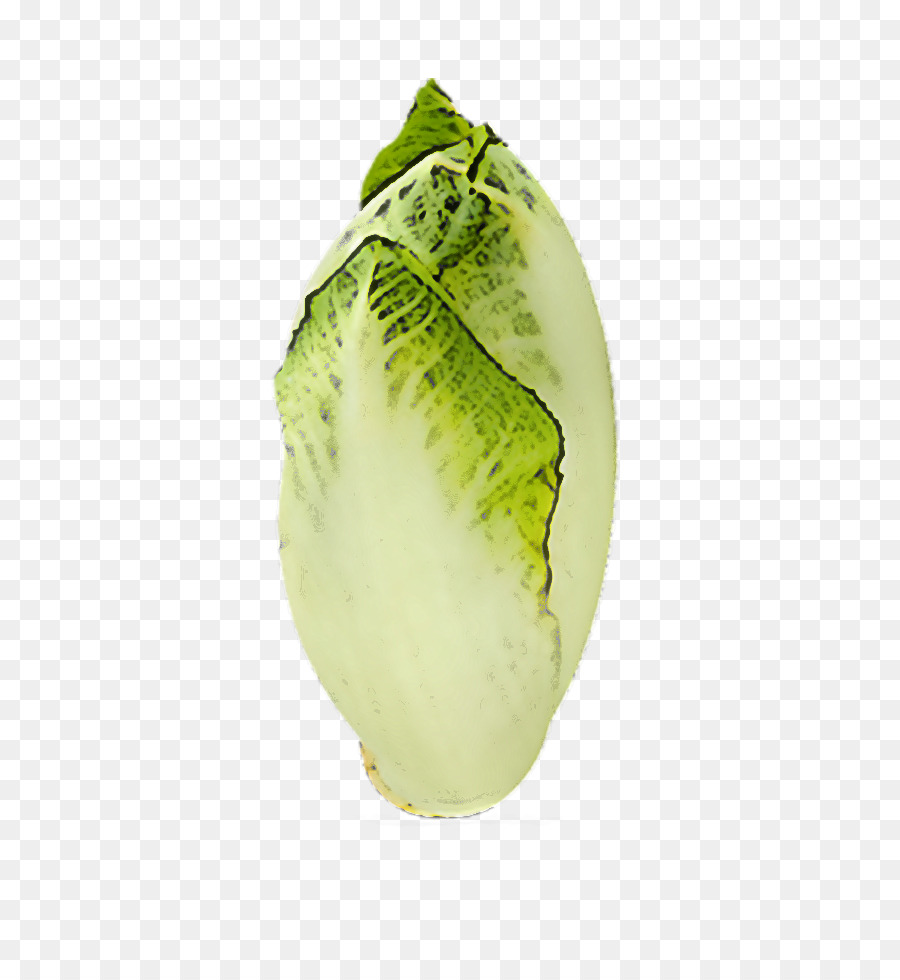 Hoja，Planta PNG