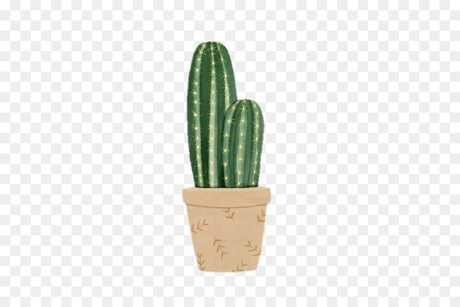 Cactus，Verde PNG