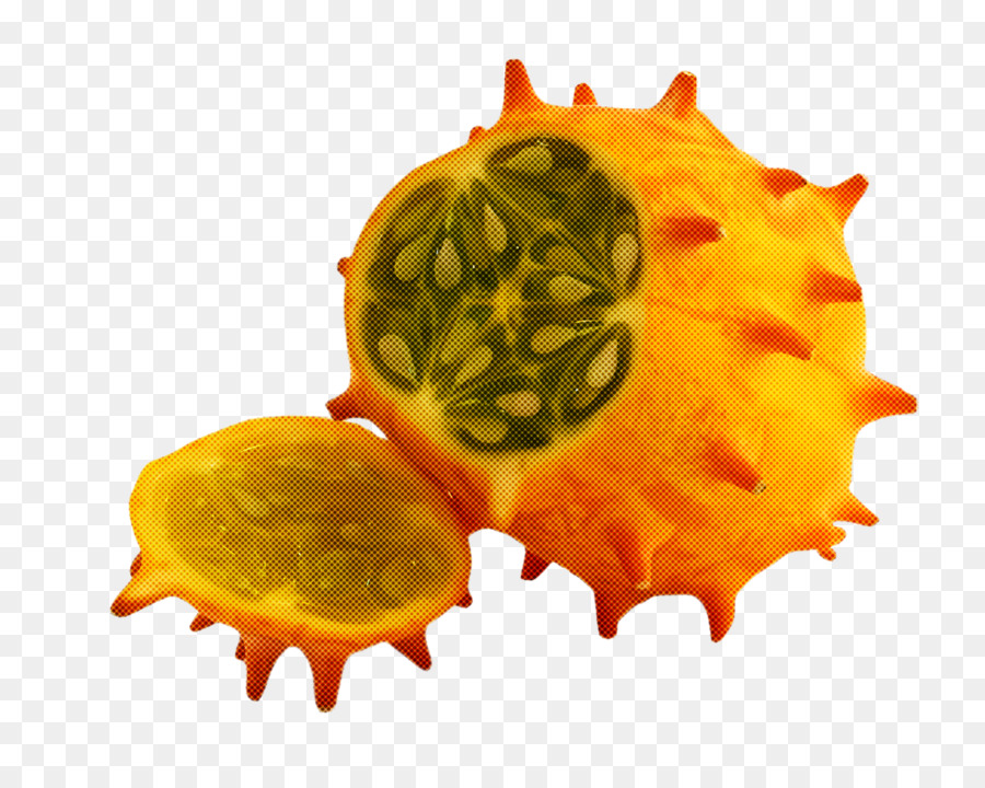 Pitahaya，Amarillo PNG