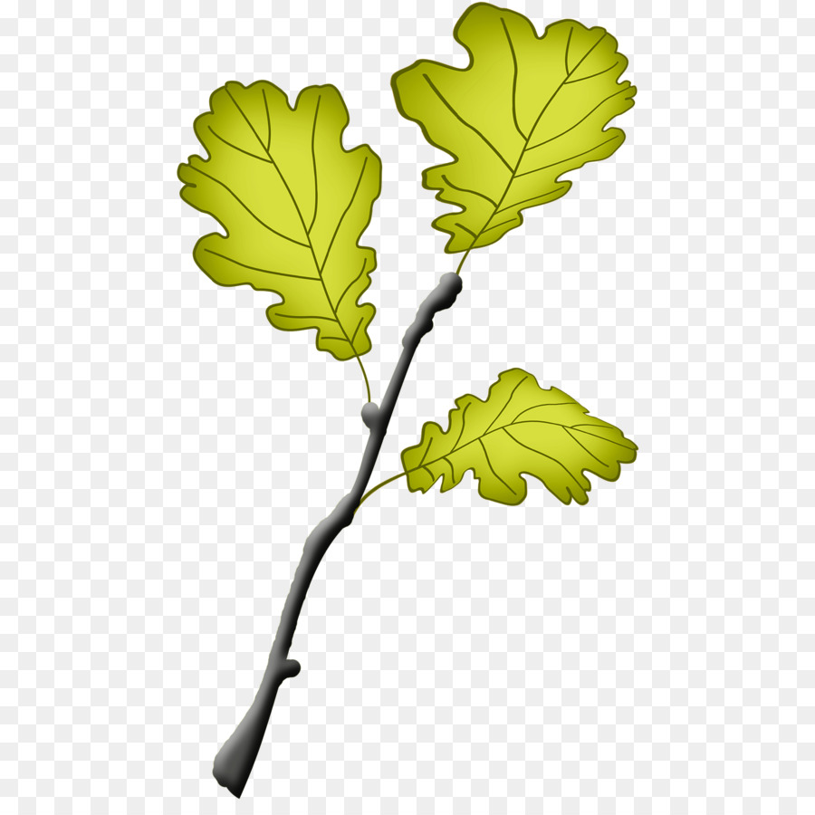 Hoja，Planta PNG