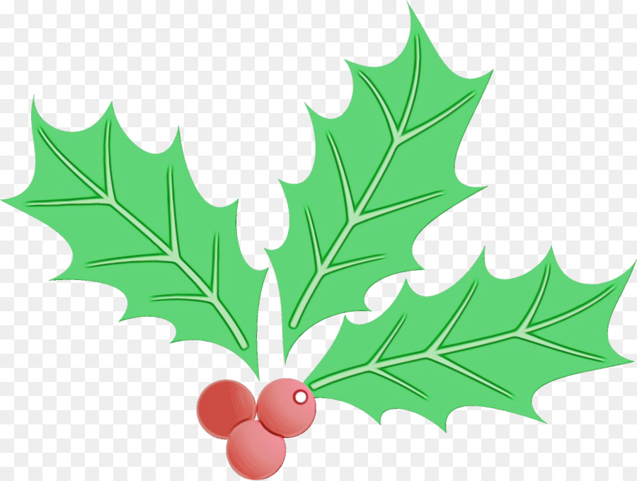 Acebo，Navidad PNG