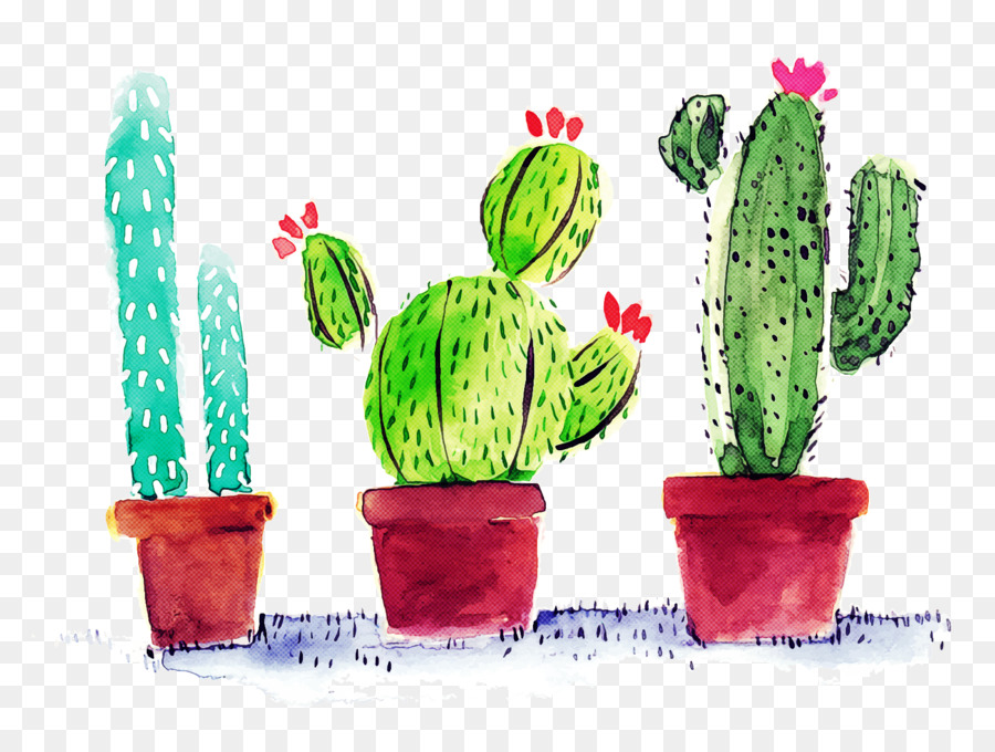 Cactus，Maceta PNG