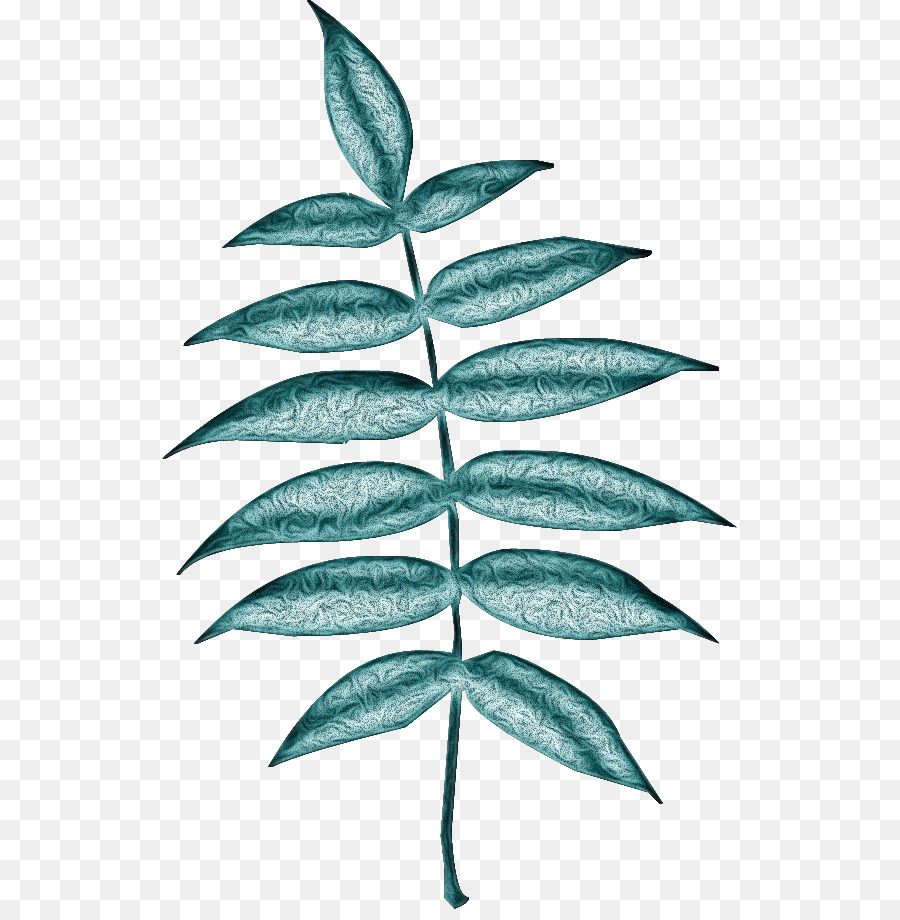 Hoja，Planta PNG