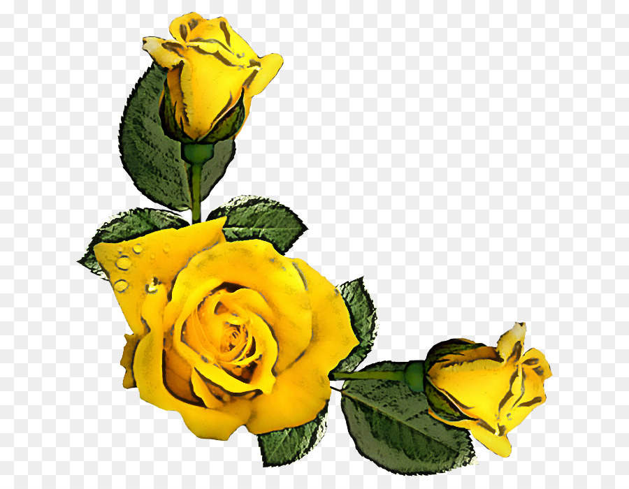 Amarillo，Flor PNG