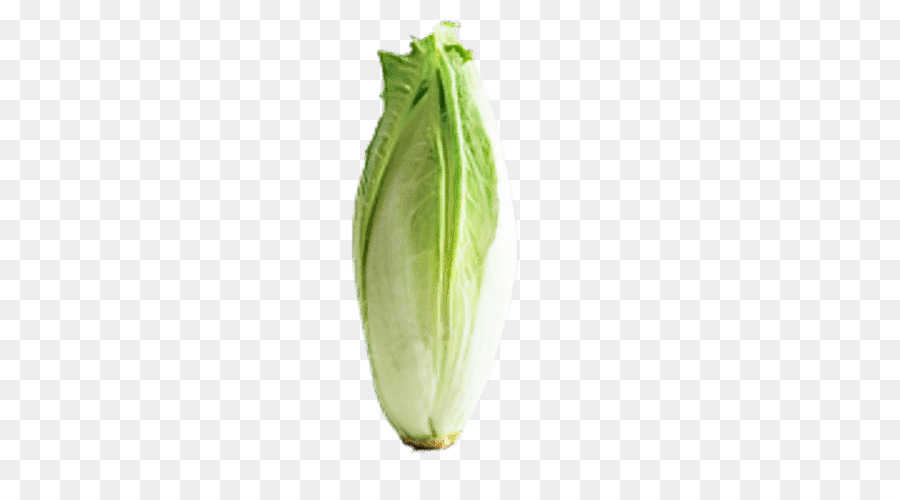 Vegetal，Planta PNG