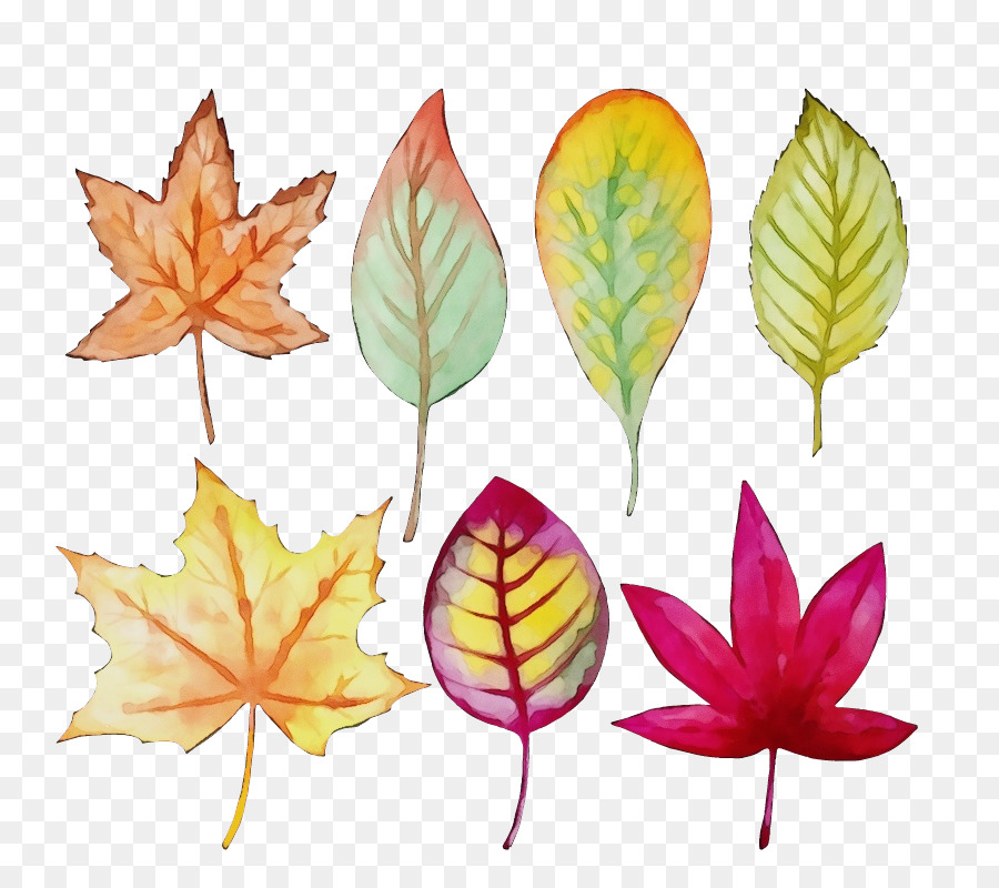 Hojas De Otoño，Caer PNG