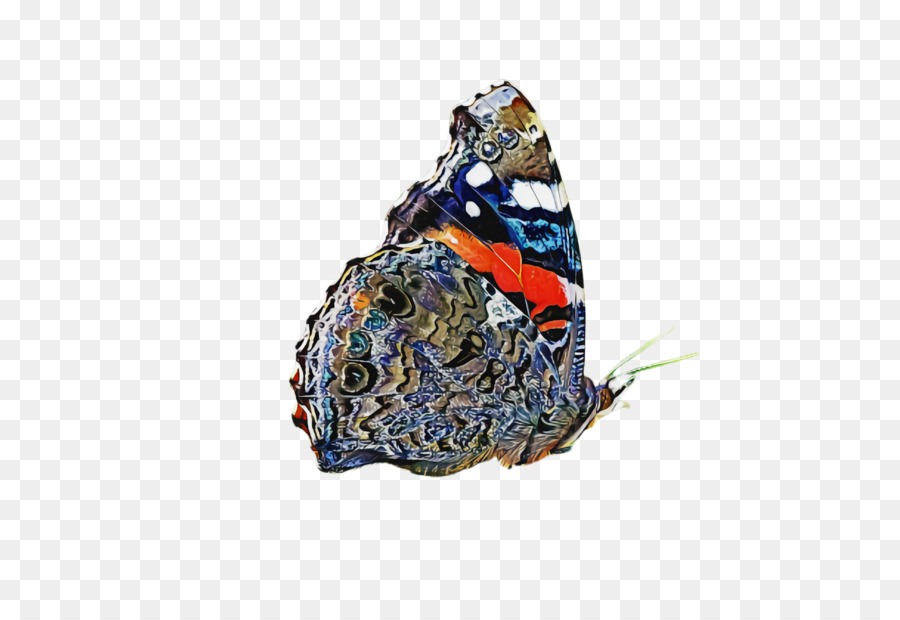 Azul，Mariposa PNG
