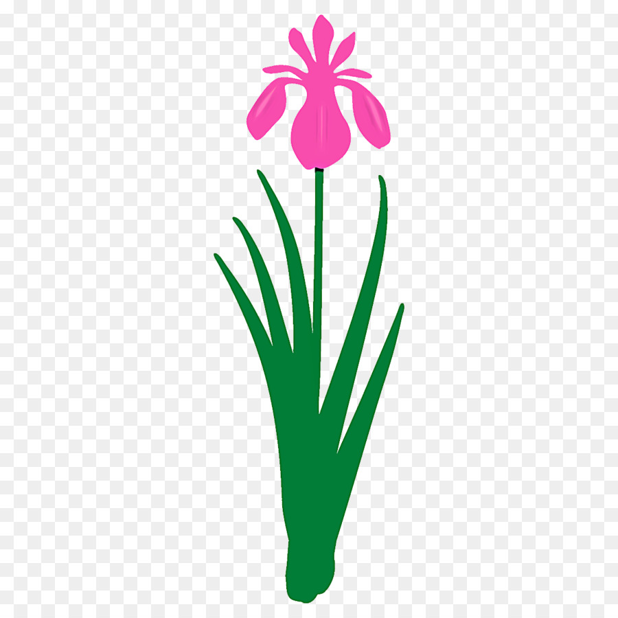 Flor，Planta PNG