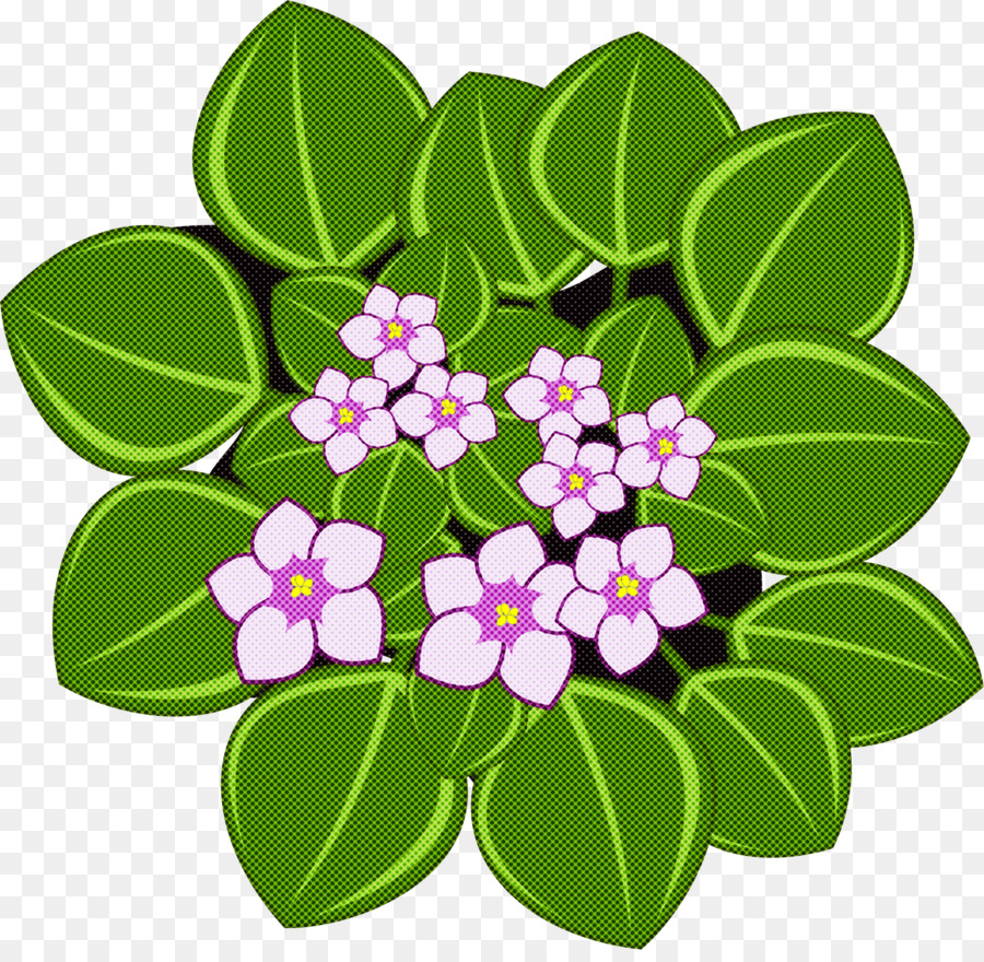 Flores Moradas，Hojas PNG