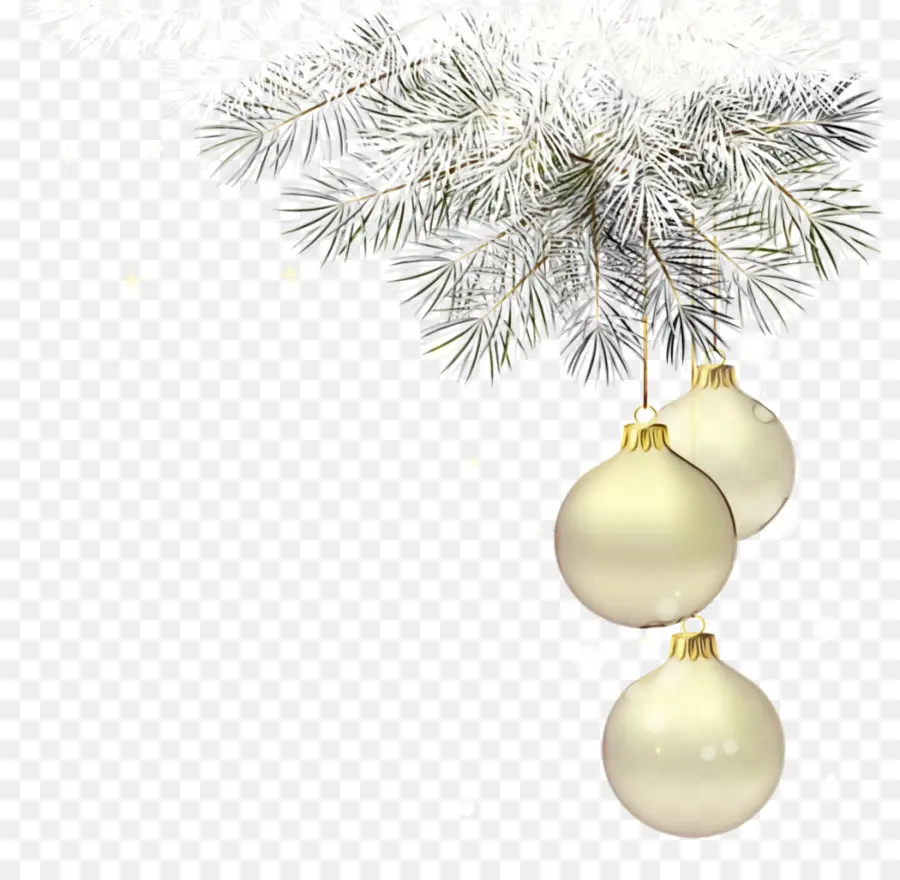 árbol De Navidad，Árbol PNG