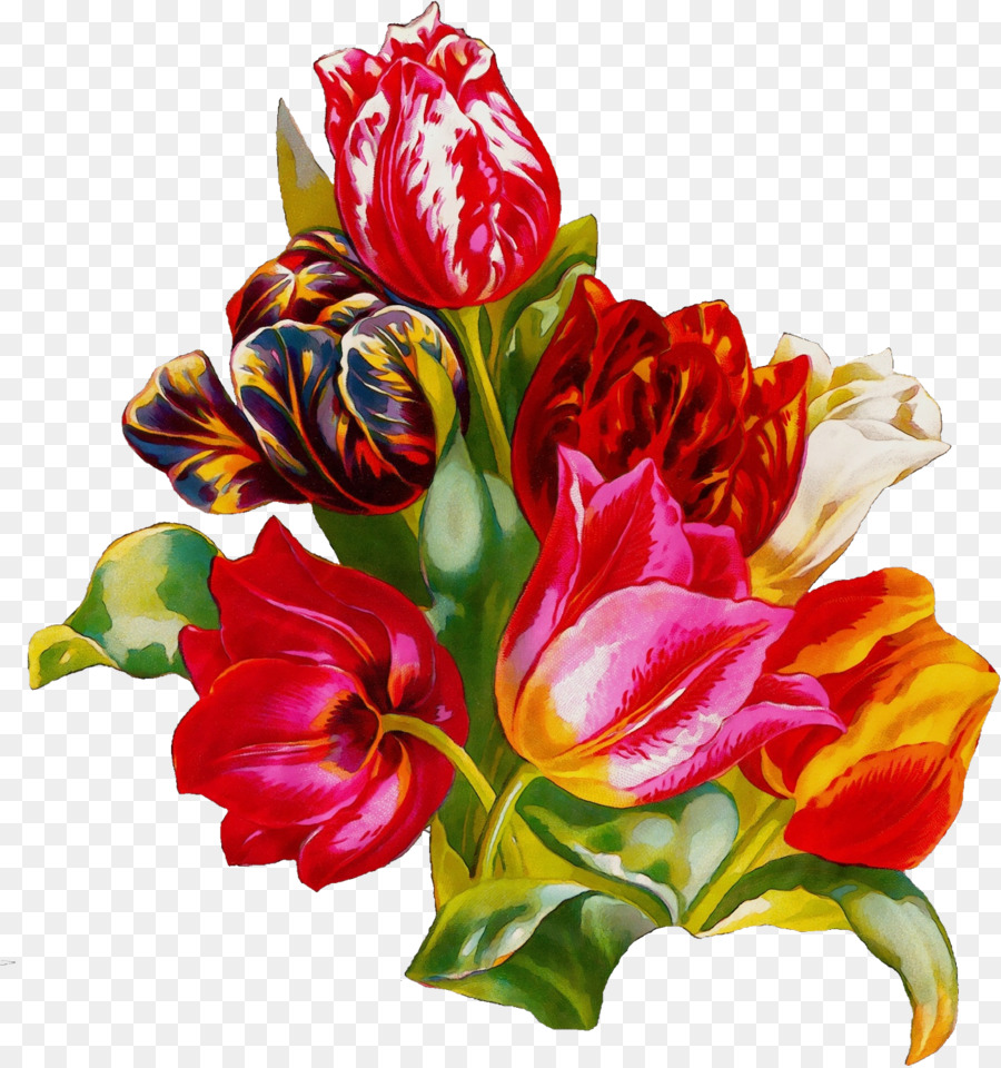 Flor，Las Flores Cortadas PNG