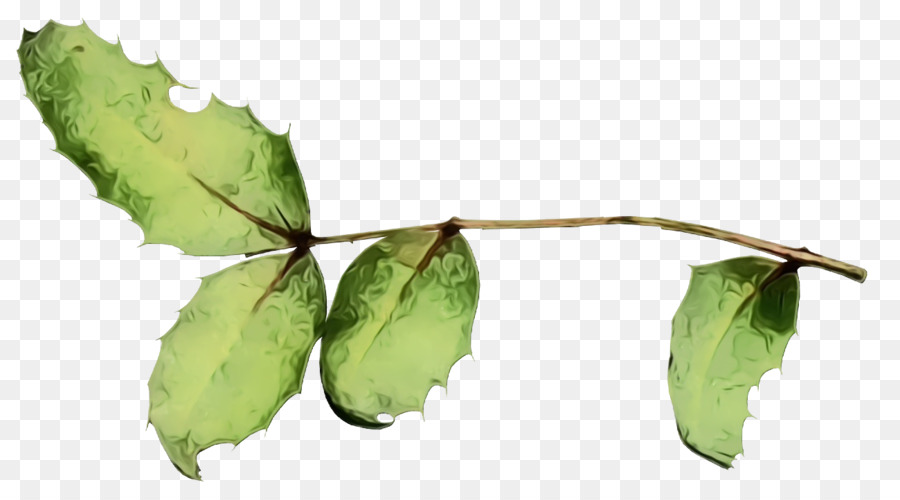 Hoja，Planta PNG