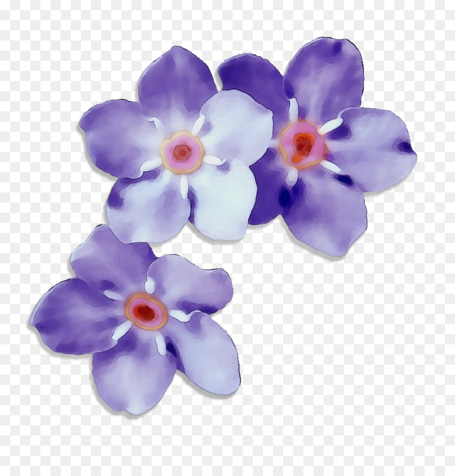 Flores Azules，Pétalos PNG